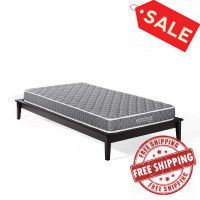 Modway MOD-5560-WHI Emma 6" Twin Mattress in White