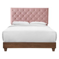 Modway MOD-6147-WAL-DUS Walnut Dusty Rose Rhiannon Diamond Tufted Upholstered Performance Velvet Queen Bed