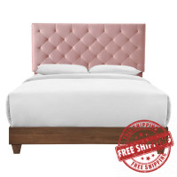 Modway MOD-6147-WAL-DUS Walnut Dusty Rose Rhiannon Diamond Tufted Upholstered Performance Velvet Queen Bed