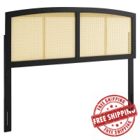 Modway MOD-6203-BLK Black Halcyon Cane Full Headboard