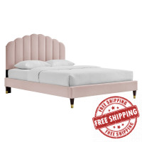 Modway MOD-6288-PNK Daisy Performance Velvet Queen Platform Bed Pink