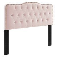 Modway MOD-6409-PNK Sophia Tufted Performance Velvet Twin Headboard Pink