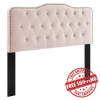 Modway MOD-6410-PNK Sophia Tufted Performance Velvet Full/Queen Headboard Pink