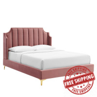 Modway MOD-6412-DUS Daniella Performance Velvet Queen Platform Bed Dusty Rose