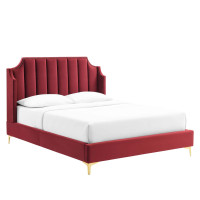 Modway MOD-6412-MAR Daniella Performance Velvet Queen Platform Bed Maroon