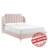 Modway MOD-6412-PNK Daniella Performance Velvet Queen Platform Bed Pink