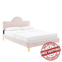 Modway MOD-6516-PNK Sunny Performance Velvet Queen Bed Pink