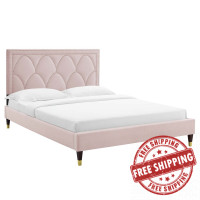 Modway MOD-6590-PNK Kendall Performance Velvet Queen Bed Pink