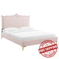 Modway MOD-6592-PNK Clara Performance Velvet Queen Platform Bed Pink