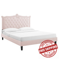 Modway MOD-6594-PNK Clara Performance Velvet Queen Platform Bed Pink