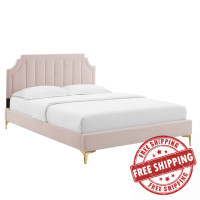 Modway MOD-6712-PNK Sienna Performance Velvet Queen Platform Bed Pink