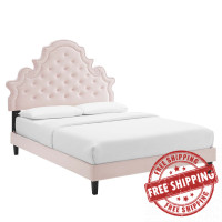 Modway MOD-6753-PNK Gwyneth Tufted Performance Velvet Queen Platform Bed Pink