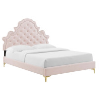 Modway MOD-6754-PNK Gwyneth Tufted Performance Velvet Twin Platform Bed Pink