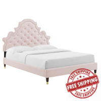 Modway MOD-6758-PNK Gwyneth Tufted Performance Velvet Full Platform Bed Pink