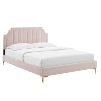 Modway MOD-6906-PNK Sienna Performance Velvet Twin Platform Bed Pink