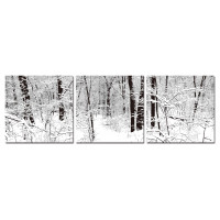 Baxton Studio B-4003ABC Winter Woods Mounted Photography Print Triptych