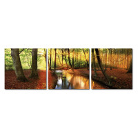 Baxton Studio De-3054Abc Forest Oasis Mounted Photography Print Triptych