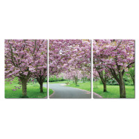 Baxton Studio De-3062Abc Spring In Bloom Mounted Photography Print Triptych