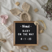 Flash Furniture HGWA-FB10-TORCH-GG Gracie 10x10 Felt Letter Board with Wooden Frame, 389 PP Letters Including Numbers, Symbols and Icons, Canvas Carrying Case, Torched Wood/Black Felt