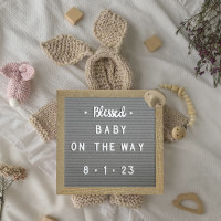 Flash Furniture HGWA-FB10-WEATH-GG Gracie 10x10 Felt Letter Board with Wooden Frame, 389 PP Letters Including Numbers, Symbols and Icons, Canvas Carrying Case, Weathered Wood/Gray Felt