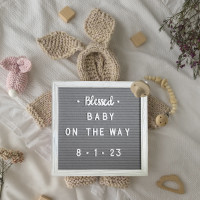 Flash Furniture HGWA-FB10-WHWSH-GG Gracie 10x10 Felt Letter Board with Wooden Frame, 389 PP Letters Including Numbers, Symbols and Icons, Canvas Carrying Case, White Wash/Gray Felt