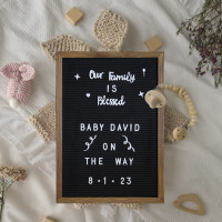 Flash Furniture HGWA-FB1217-TORCH-GG Gracie 12x17 Felt Letter Board with Wooden Frame, 389 PP Letters Including Numbers, Symbols and Icons, Canvas Carrying Case, Torched Wood/Black Felt