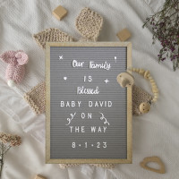 Flash Furniture HGWA-FB1217-WEATH-GG Gracie 12x17 Felt Letter Board with Wooden Frame, 389 PP Letters Including Numbers, Symbols and Icons, Canvas Carrying Case, Weathered Wood/Gray Felt