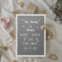 Flash Furniture HGWA-FB1217-WHWSH-GG Gracie 12x17 Felt Letter Board with Wooden Frame, 389 PP Letters Including Numbers, Symbols and Icons, Canvas Carrying Case, White Wash/Gray Felt