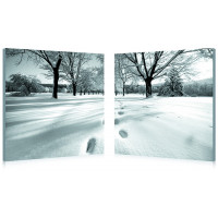 Baxton Studio PM-2005AB Telltale Trail Mounted Photography Print Diptych in Black/White