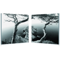 Baxton Studio PM-2006AB Rocky Shore Mounted Photography Print Diptych in Black/White