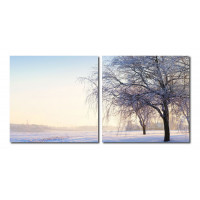 Baxton Studio VC-2046AB Snowy Solitude Mounted Photography Print Diptych in Multi