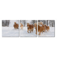 Baxton Studio Vc-2050Abc Horse Herd Mounted Photography Print Triptych