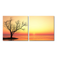 Baxton Studio VC-2078AB Blazing Horizon Mounted Photography Print Diptych in Multi